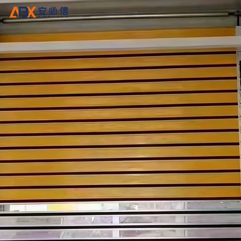 定西市感应高速门